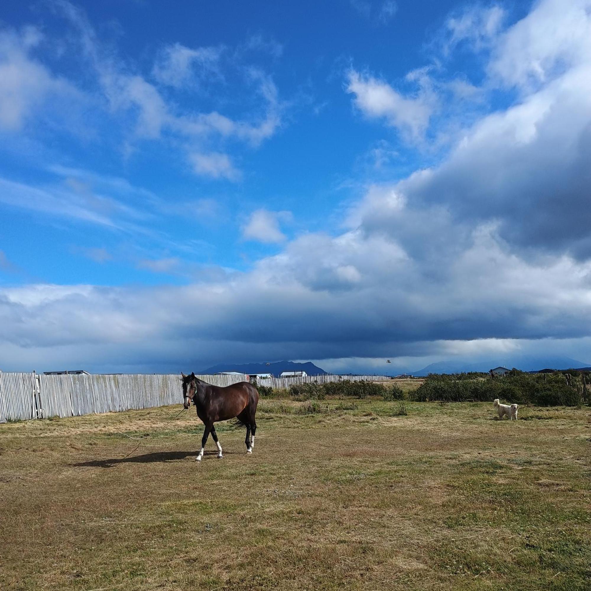 Tyni House Daire Puerto Natales Dış mekan fotoğraf